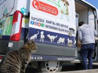 KARTAL BELEDİYESİ'NDEN HAFTA SONU YASAĞINDA SOKAK CANLARINA MAMA VE SU DESTEĞİ