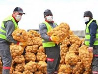 HALKA ÜCRETSİZ DAĞITILACAK PATATES VE SOĞANLAR TUZLA'YA ULAŞTI