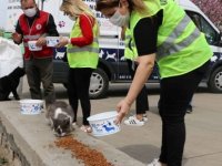 KARTAL BELEDİYESİ TAM KAPANMA SÜRECİNDE SOKAK HAYVANLARININ YANINDA