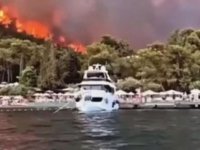 TÜRKİYE'NİN GÜNEYİ YANIYOR! BODRUM VE DİDİM'DE ALEVLERE TESLİM