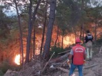 KARTAL BELEDİYESİ'NİN ORMAN YANGINLARI İLE DESTEK MÜCADELESİ SÜRÜYOR