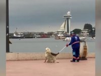 TUZLA'DA SOKAK KÖPEĞİ TEMİZLİK GÖREVLİLERİNE  KENDİNİ KAŞITTI