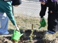 YÜZLERCE FİDANI TOPRAKLA BULUŞTURDULAR