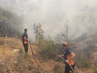 TUZLA BELEDİYESİ ÇANAKKALE YANGINI İÇİN SEFERBER OLDU