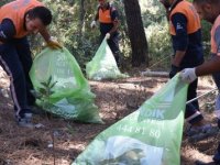 DÜNYA ÇEVRE GÜNÜ'NDE AYDOS ORMANI VE BARAJI TEMİZLEMEK İÇİN SEFERBER OLDULAR