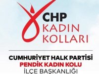 CHP PENDİK İLÇE BAŞKANLIĞI'NDAN KADINA YÖNELİK ŞİDDETE KARŞI EŞ ZAMANLI AÇIKLAMA