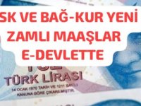 SGK VE BAĞ-KUR EMEKLİLERİNE YAPILAN YENİ  ZAMLI MAAŞLAR E-DEVLETE YÜKLENDİ