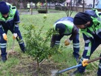 PENDİK'TE ''TOPLU ÇALIŞMA PROGRAMI'' BAŞLADI