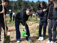 PENDİK'TE AĞAÇLANDIRMA SEFERBERLİĞİ SÜRÜYOR