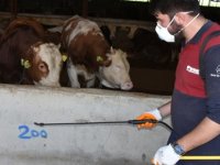 KURBAN SATIŞ VE KESİM ALANLARINI DENETLİYORLAR