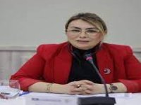 AK PARTİ'YE GEÇECEĞİ İDDİA EDİLEN CHP'Lİ YALOVA ALTINOVA BELEDİYE BAŞKANI İHRAÇ TALEBİYLE DİSİPLİNE SEVK EDİLDİ