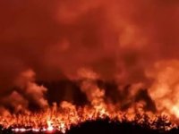 SAKARYA'NIN TARAKLI İLÇESİNDE BAŞLAYAN ORMAN YANGINI 2. GÜNÜNDE SÜRÜYOR