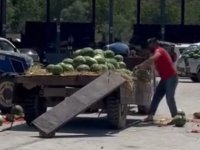 SAKARYA'DA KAPRUZLARI YERE ATARAK PARÇALAYAN ÇİFTÇİYE SORUŞTURMA BAŞLATILDI