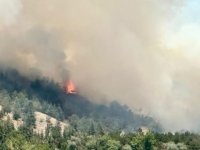 ANKARA ODTÜ ORMANI  YAKINLARINDA KORKUTAN YANGIN