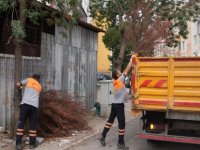 KARTAL'IN MAHALLELERİNDE BÜYÜK TEMİZLİK HAREKETİ