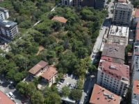 BAŞKAN AHMET CİN'DEN MÜJDE:100 YILLIK BURLA BİRADERERLER KORUSU PENDİK MERKEZ MİLLET BAHÇESİ OLUYOR