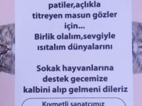 PESKDER SOKAK CANLARI İÇİN FARKINDALIK GECESİ DÜZENLİYOR!