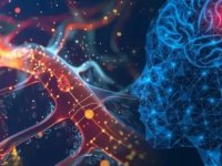 BİLİM DÜNYASINDA YENİ KEŞİF:NADİR GÖRÜLEN NOROLOJİK HASTALIK TANIMLANDI