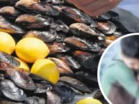 İSTANBUL'DA MİDYE VE KUMPİRDEN ZEHİRLENME: ANNE DE HAYATINI KAYBETTİ