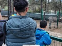 GENÇ PESİAD'DAN SEVGİ DOLU SOSYAL SORUMLULUK ETKİNLİĞİ:ÇOCUKLARLA HAYVANATA BAHÇESİ KEYFİ!