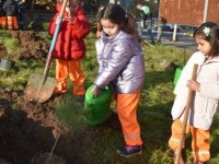 YILIN SON AĞAÇ DİKİMİNİ ANAOKULU ÖĞRENCİLERİ YAPTI
