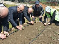 ATA TOHUMU FİDELERİ DİKEREK BAHARA “MERHABA” DEDİLER