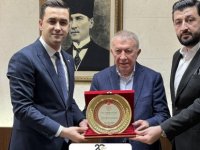 OYUNCAK KARDEŞLİĞİ PROJESİ HEYETİ MARDİN MİDYAT KAYMAKAMI MEHMET KAYA'YI ZİYARET ETTİ