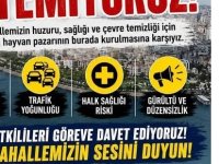 KARTAL'DA KURBAN PAZARI KRİSİ: ASBEST İDDİASI İNCELEME BAŞLATTI!