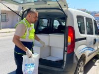 PENDİK BELEDİYESİ'NDEN SOSYAL YARDIM ALAN AİLELERE KURBAN ETİ DAĞITIMI