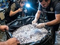 KURİŞ SUÇ ÖRGÜTÜ SORUŞTURMASINDA YENİ GELİŞME:İSTANBUL'DA BELGE İMHA ETME GİRİŞİMİ ENGELLENDİ
