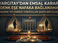 YARGITAY'DAN EMSAL NAFAKA KARARI:GELİRİ DENK OLAN EŞE YOKSULLUK NAFAKASI BAĞLANMAYACAK