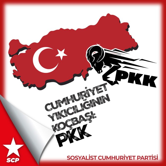 30369519-bf46-4ed6-8661-6abcf08532b9.jpg