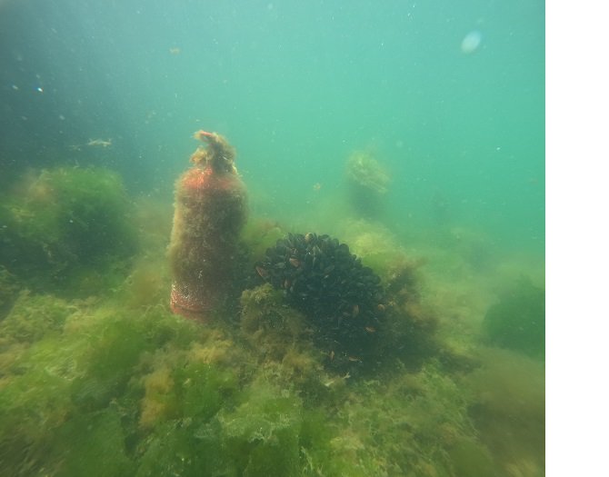 4-168.JPG