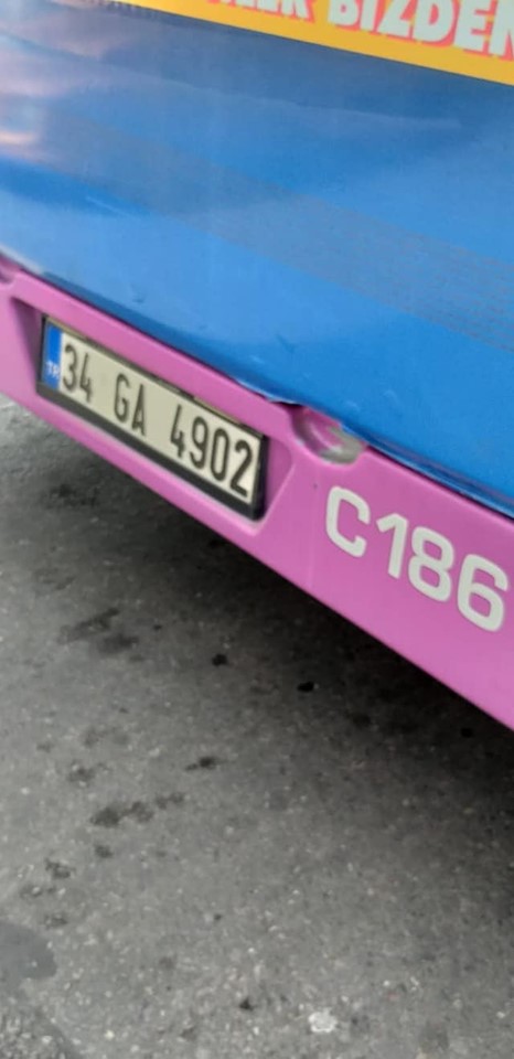 67292708-10214456807163819-9177512600861147136-n.jpg