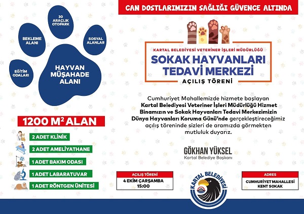 kartal-belediyesi-sokak-hayvanlari-tedavi-merkezi-aciliyor.jpeg