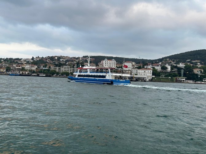 p2-139.jpg