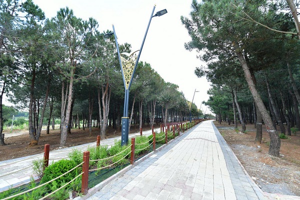 pendik-2-003.jpg