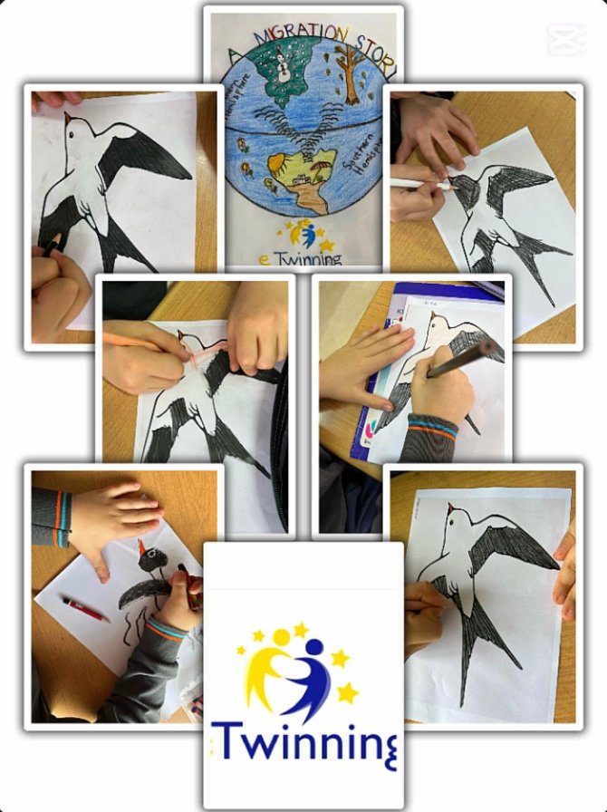 proje-5.jpg
